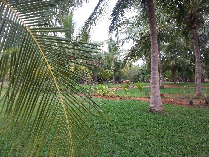 Serenity Lake Resort Yala Tissamaharama Exterior photo