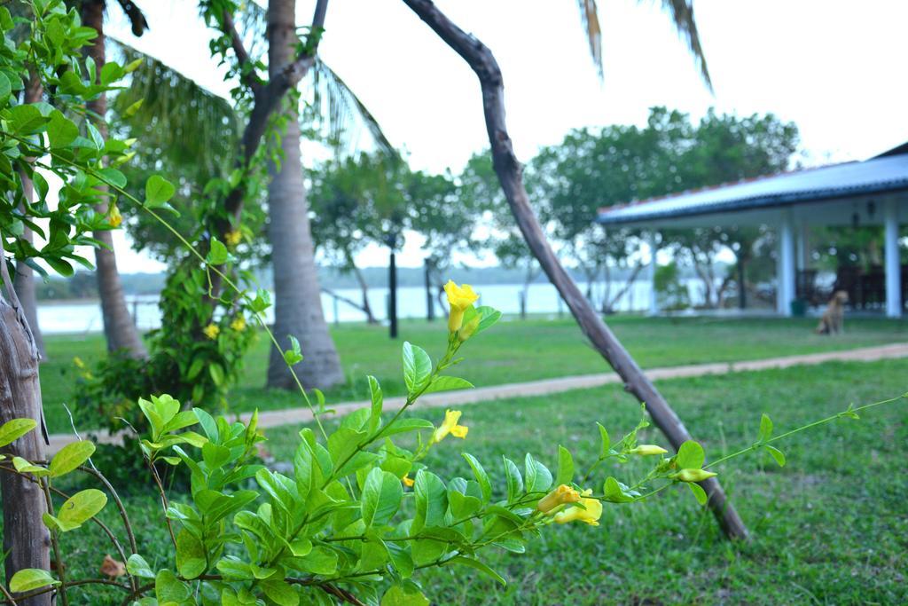 Serenity Lake Resort Yala Tissamaharama Exterior photo