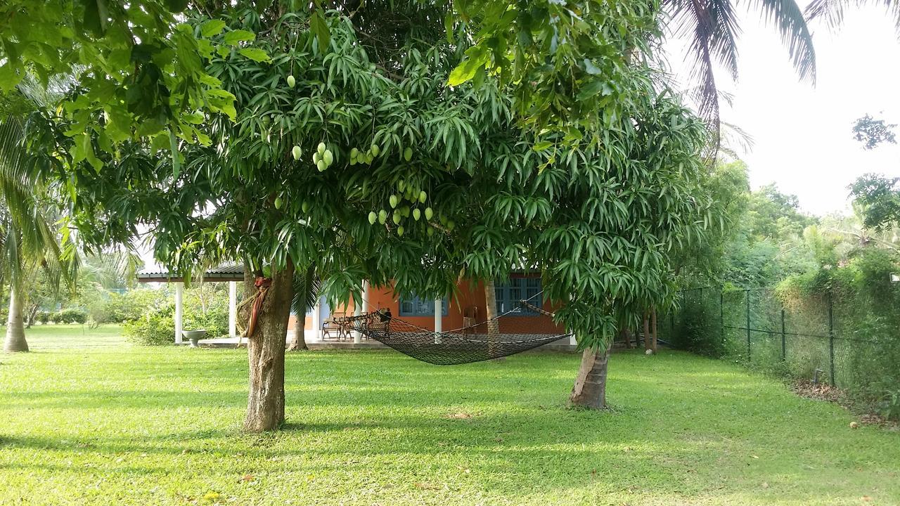 Serenity Lake Resort Yala Tissamaharama Exterior photo